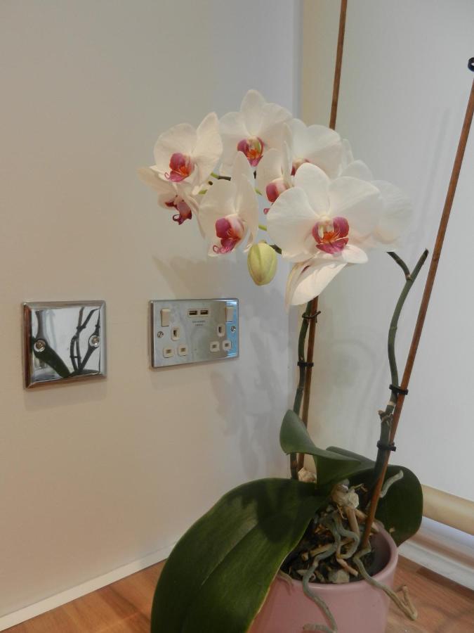 Boynton Hill B&B Nottingham Esterno foto